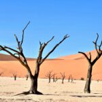 The Green Continent: Why Europe Has No Deserts?