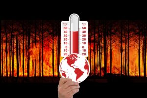 Earth just experienced its hottest 12 months on…